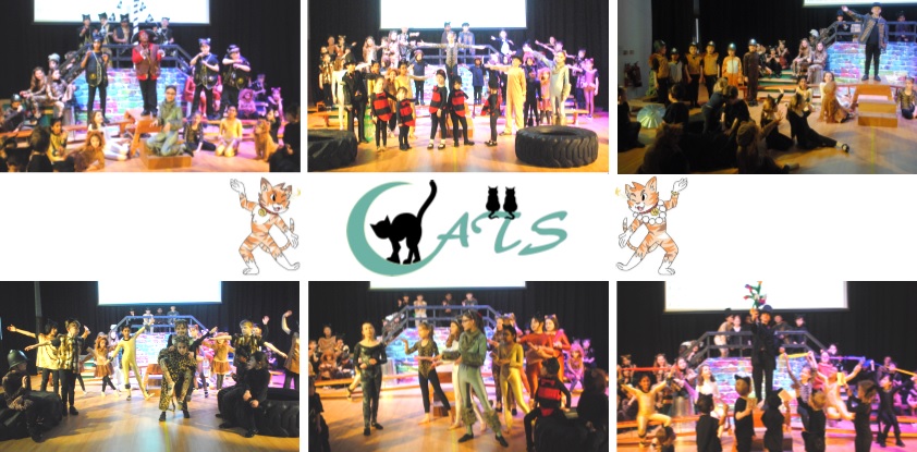 Fairholme Preparatory School: Oratorical cats, Delphic­Oracle cats, Sceptical cats, Dyspeptical cats