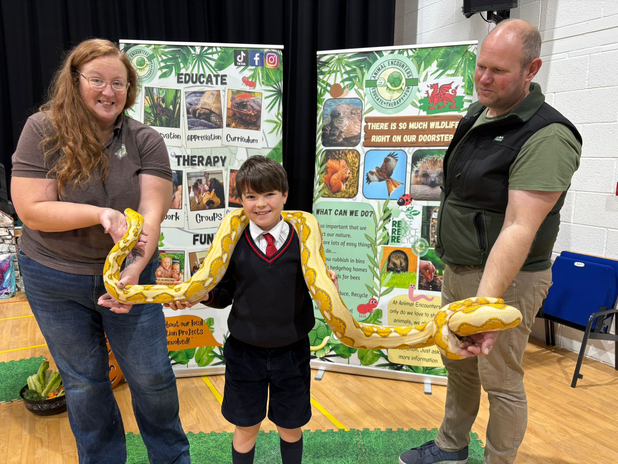 Creepy Crawlies Workshop