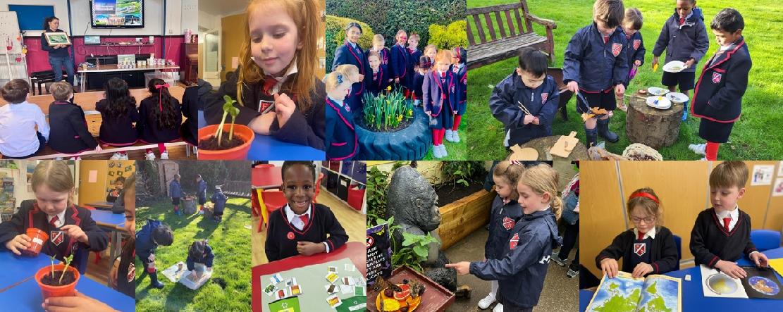 Fairholme Preparatory School: Sustainability Fairholme Preparatory School: Sustainability